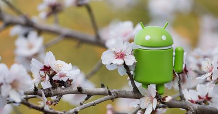 Unikasz aplikacji śledzących na Androida? Wybierz właściwie jeszcze przed instalacją