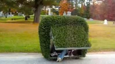 Czy da się jeździć ozdobnym krzewem? Oczywiście, że tak [wideo] 1