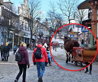 Znaleźli sposób na turystów. "Nie skorzystali w Zakopanem"