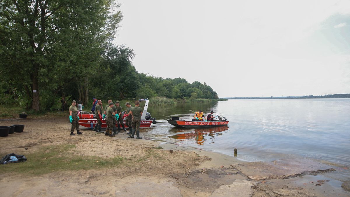 Złota alga w Kanale Gliwickim. Zdjęcie poglądowe