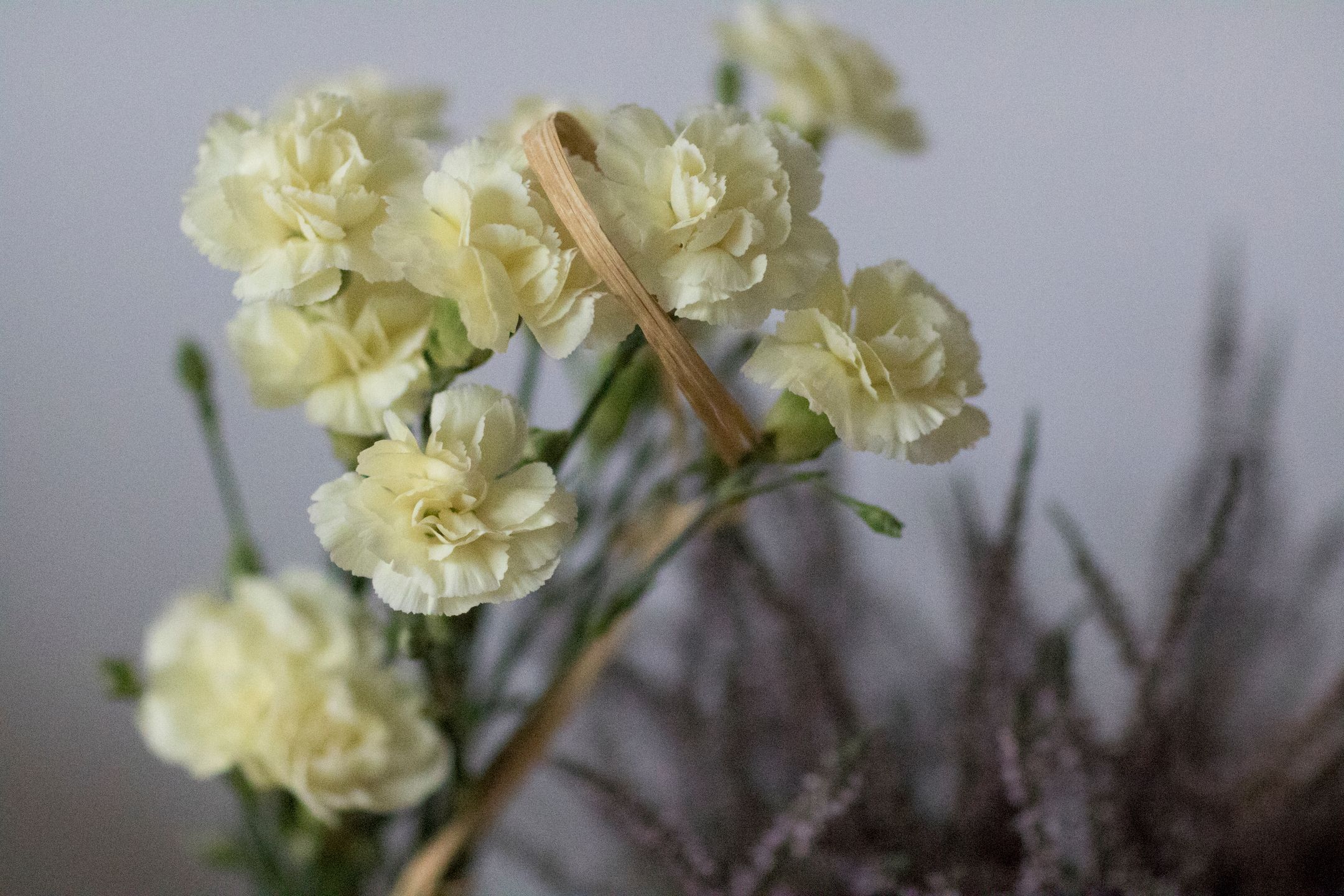 Canon EOS 7D Mark II - szybki, wytrzymały i bez konkurencji [test] 35