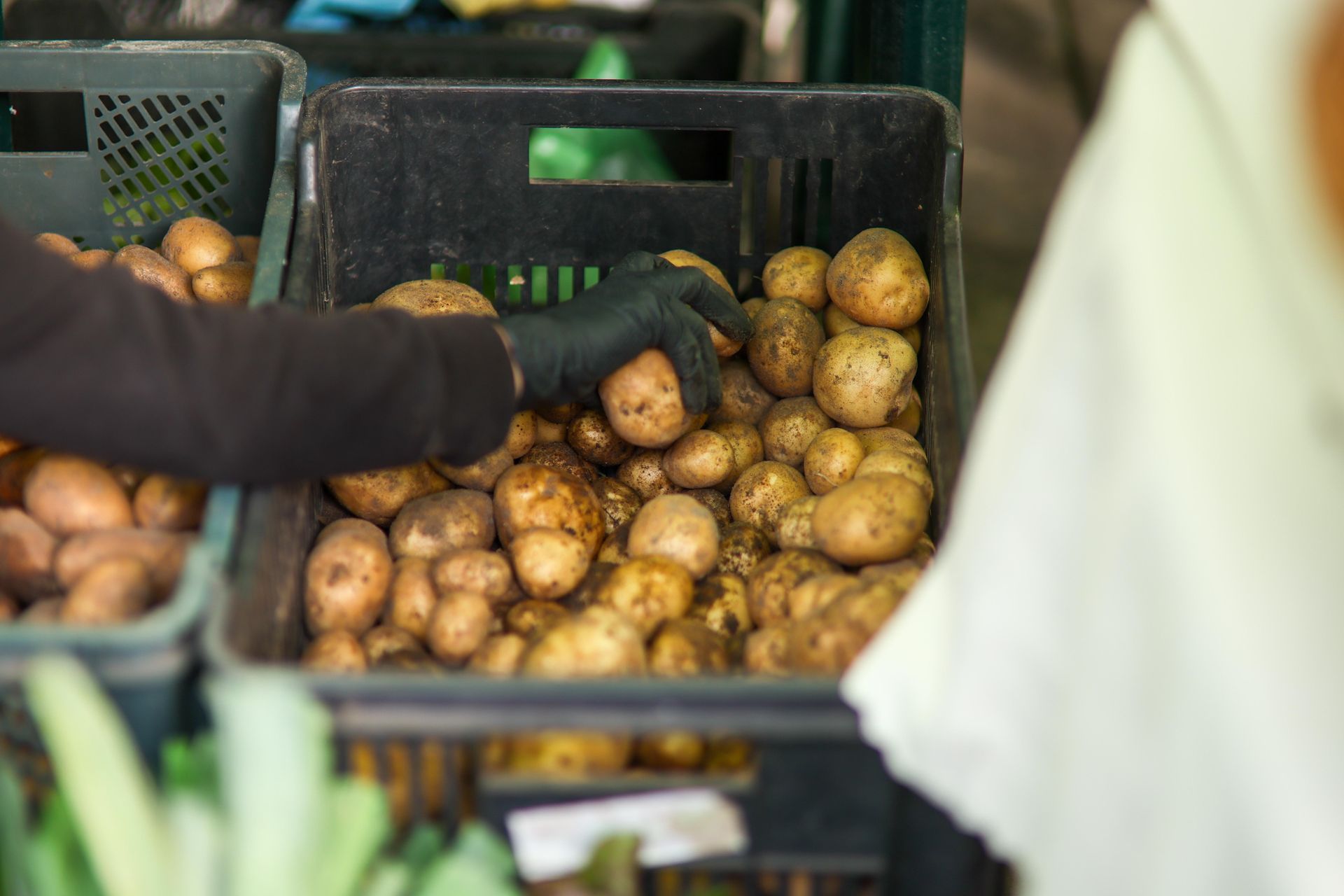 Dramat polskich rolników. W magazynach zalega milion ton ziemniaków