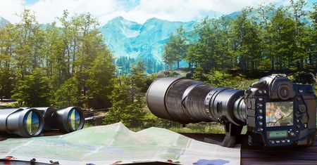 Wypatruj ptaka w nowej grze Polaków. Birding Simulator pomoże się odstresować