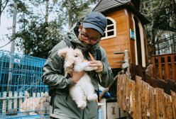 Zoo w Indonezji planuje uśmiercić część zwierząt. "Nie ma innego wyjścia"