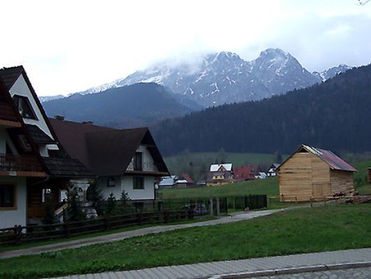 Obraz
