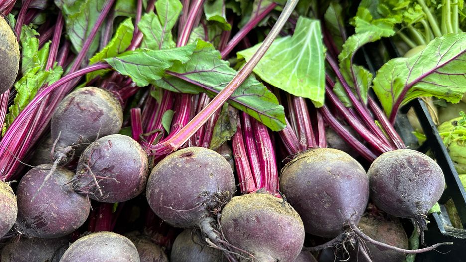 Oto ile kosztuje kilogram buraków