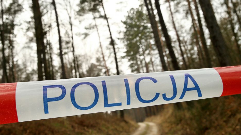 policja