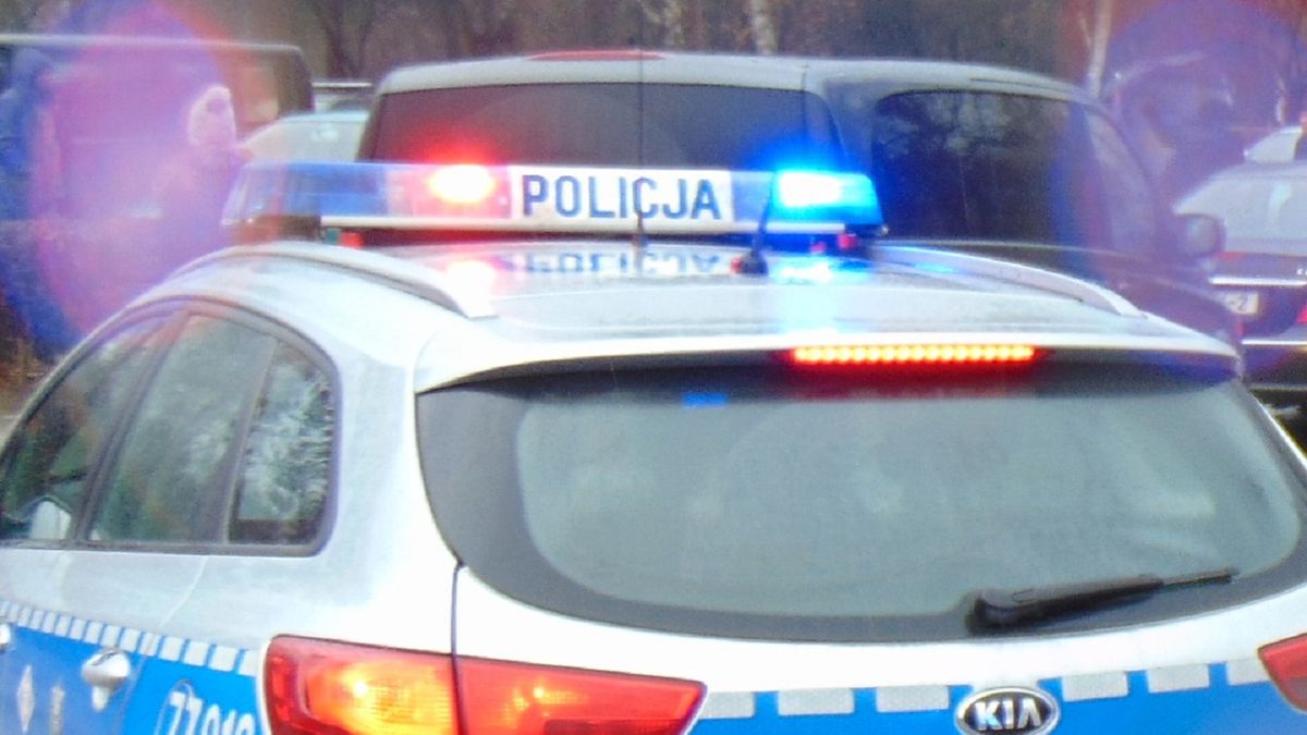 Policjanci zatrzymali volkswagena. Nie przypuszczali, co jest w środku