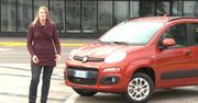 Nowy Fiat Panda przetestowany przez Autocar [wideo + galeria]
