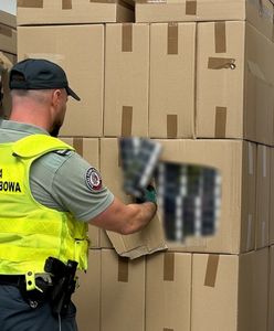 Prześwietlili ciężarówkę z płatkami. Kierowca z Ukrainy zatrzymany na granicy