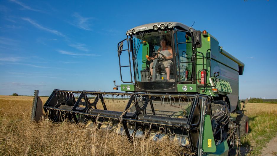 rzepak, zbliżenie na przód kombajnu,  kombajn Class