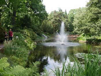 Ogród Botaniczny we Wrocławiu zachwyca latem. Kwitną hortensje, nenufary i róże, a wrocławianie szukają ochłody