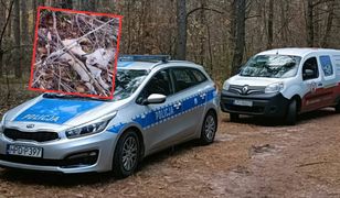 Dramat w lesie koło Puław. Dwa psy przywiązane do drzewa