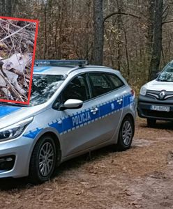 Dramat w lesie koło Puław. Dwa psy przywiązane do drzewa