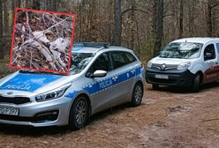 Dramat w lesie koło Puław. Dwa psy przywiązane do drzewa