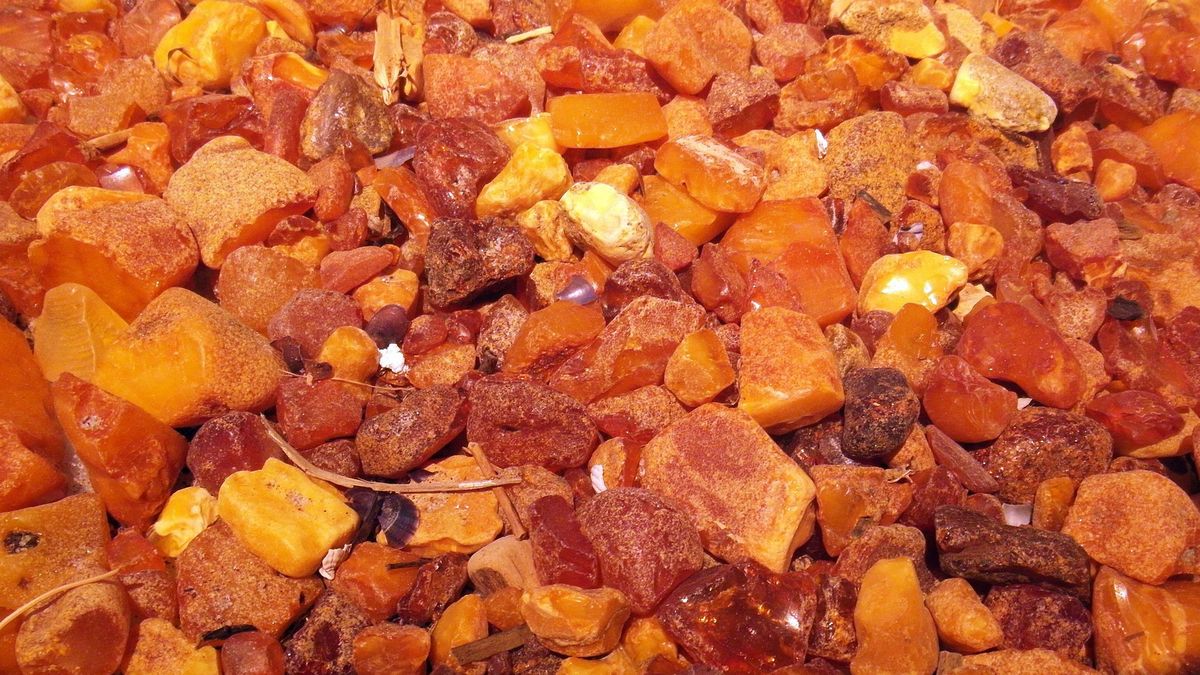 Kilogram bursztynu może kosztować nawet 20 tys. zł