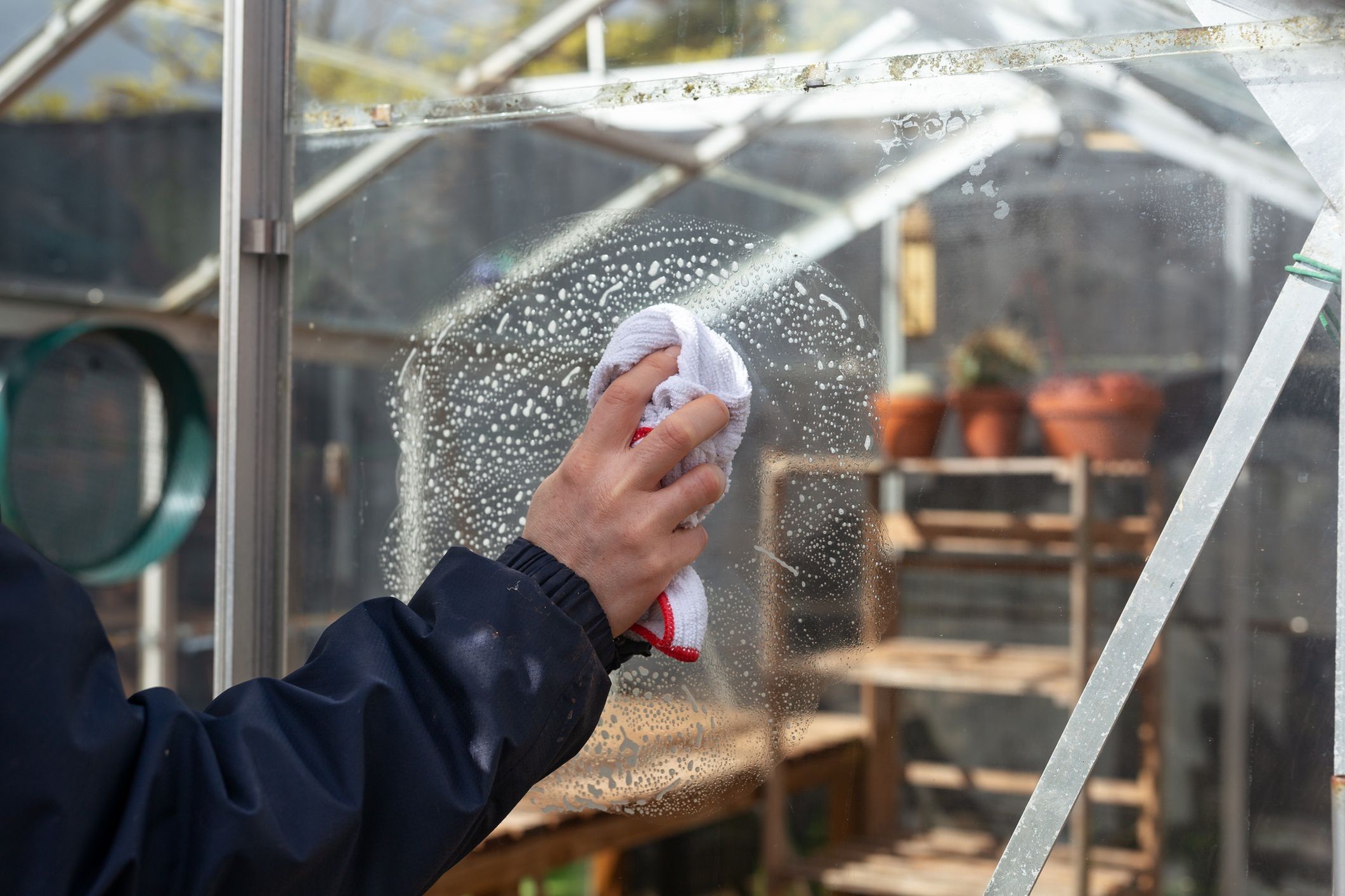 Jak czyścić szklarnię?