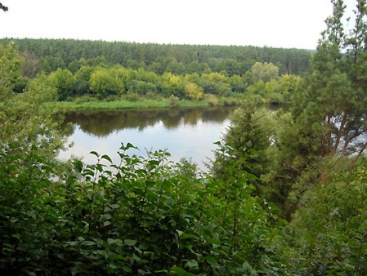 Obraz