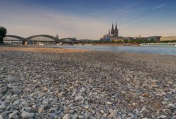 Susza w Niemczech. "Nigdy nie widzieliśmy czegoś takiego"