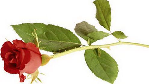 Dzień Kobiet, czyli jakie gadżety lubią kobiety 1