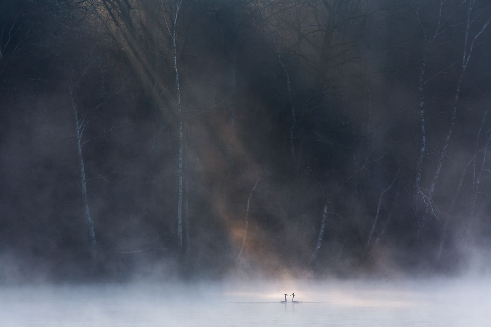 Znamy zwycięzców konkursu Hasselblad Masters 2016 8