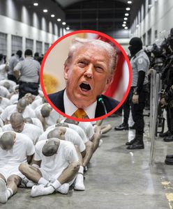 Okrucieństwo i tortury. Mocne oskarżenia wobec administracji Trumpa