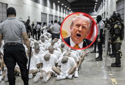 Okrucieństwo i tortury. Mocne oskarżenia wobec administracji Trumpa