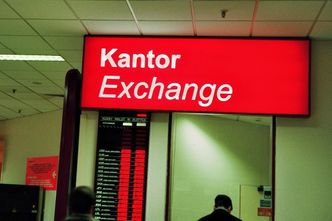 Polacy uwierzyli Google w euro po 6 zł? Wiemy, czy ruszyli do kantorów