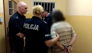 Poznań: 1,5 roku więzienia za śmiertelne potrącenie 8-latki