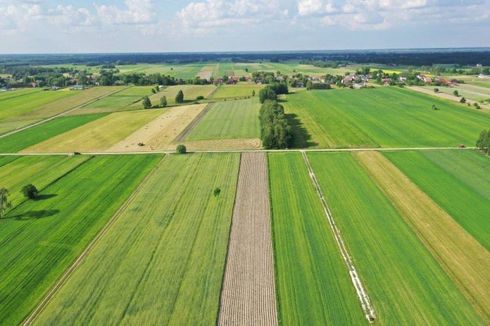 Zmiany w ustawie o ziemi rolnej. Resort chce uprościć formalności i ograniczyć biurokrację