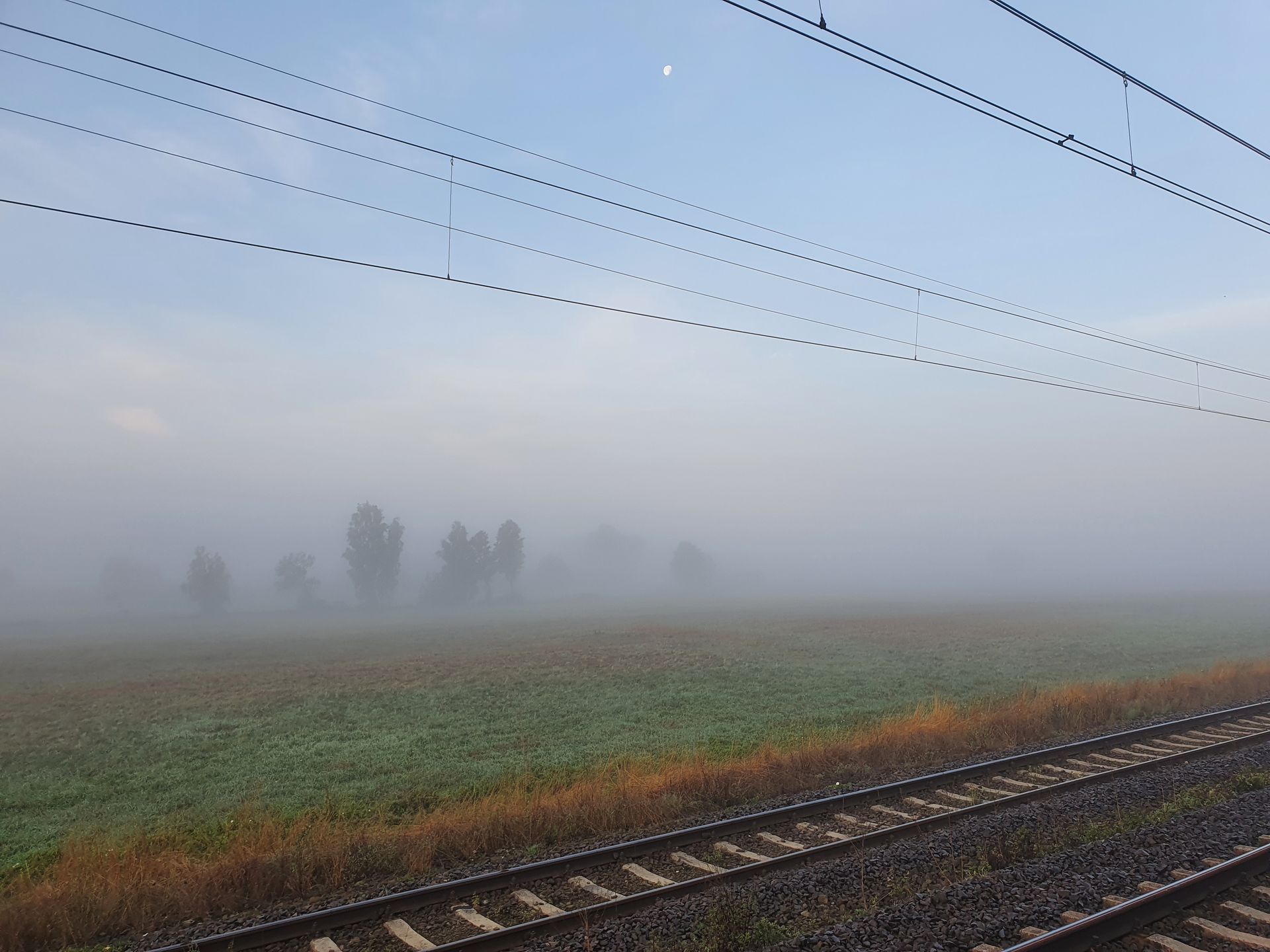 Zdjęcie ze służby 