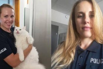 Była policjantka oskarża byłego męża. Wstrząsające co działo się w jej domu