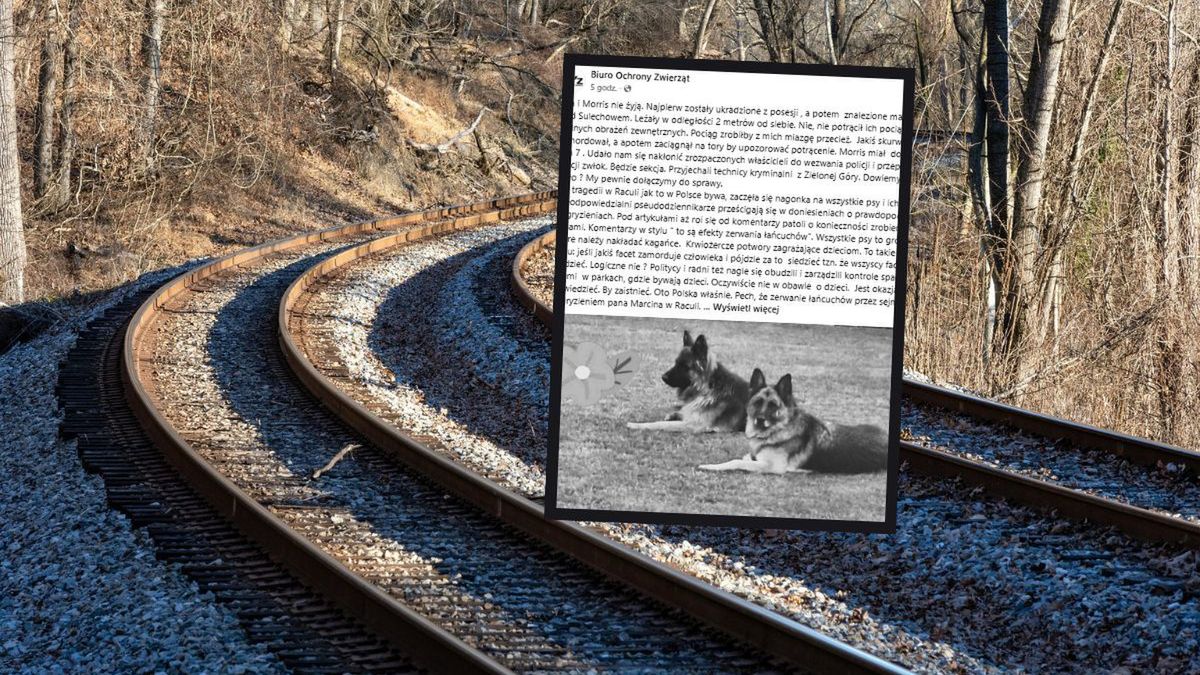 Tragiczny finał poszukiwań Azy i Morrisa