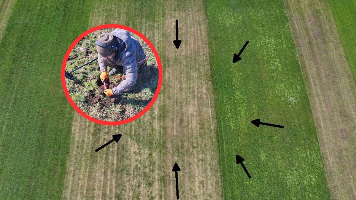 Znaleziono średniowieczne grodzisko