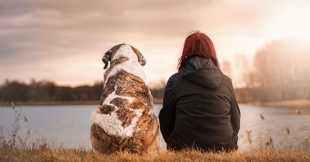 Utrudniał kobiecie kontakt z psem. Zapadł wyrok sądu