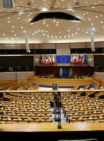 One More European Parliament Term of Office Comes to an End - How Did Its Decisions Affect Lithuania?