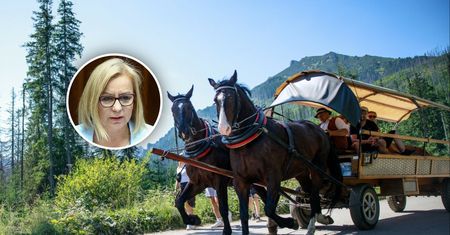 Kursy nad Morskie Oko zawieszone. Ministra apeluje