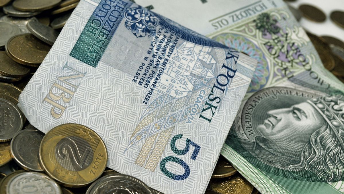 OLYMPUS DIGITAL CAMERA
banknotes, cash, currency, money, notes, pln, polish, zloty, 50, 100