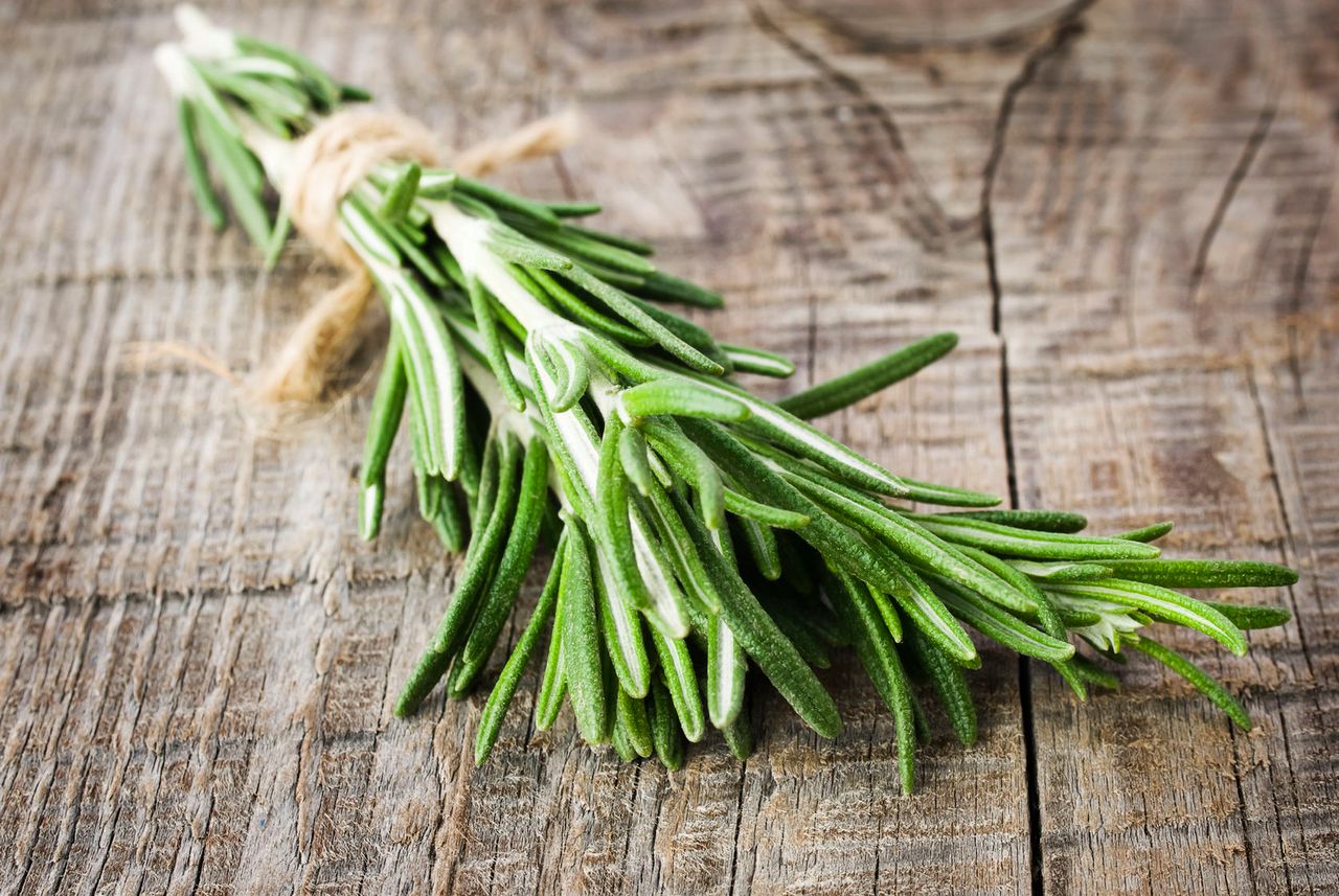 Aromat rozmarynu wpływa na zwiększenie pamięci u dzieci