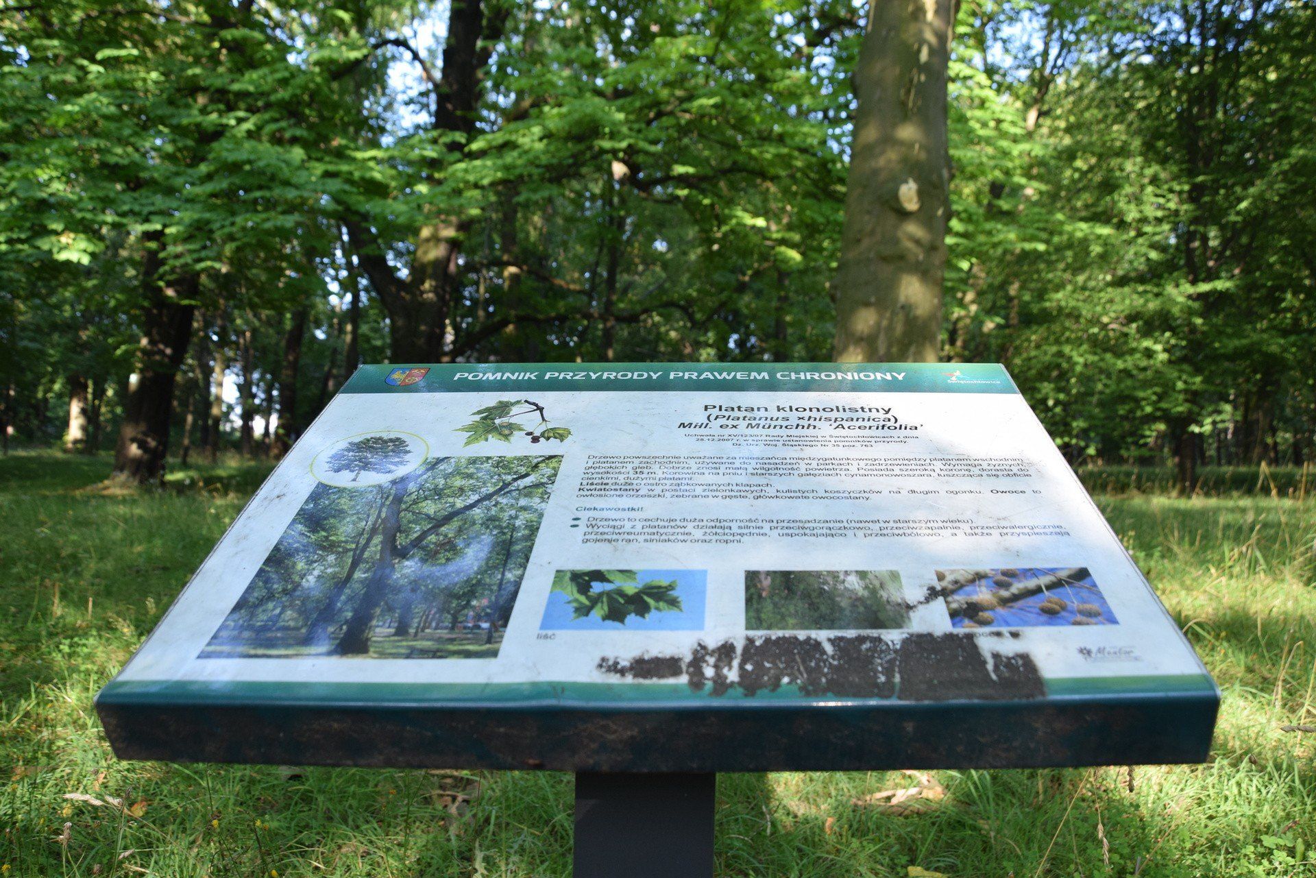 Park im. Mieszkańców Heiloo w Świętochłowicach