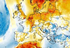 Pogoda. Zima odpuszcza, czeka nas wybuch wiosny