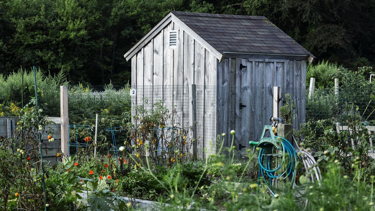 Szopa na narzędzia w ogrodzie