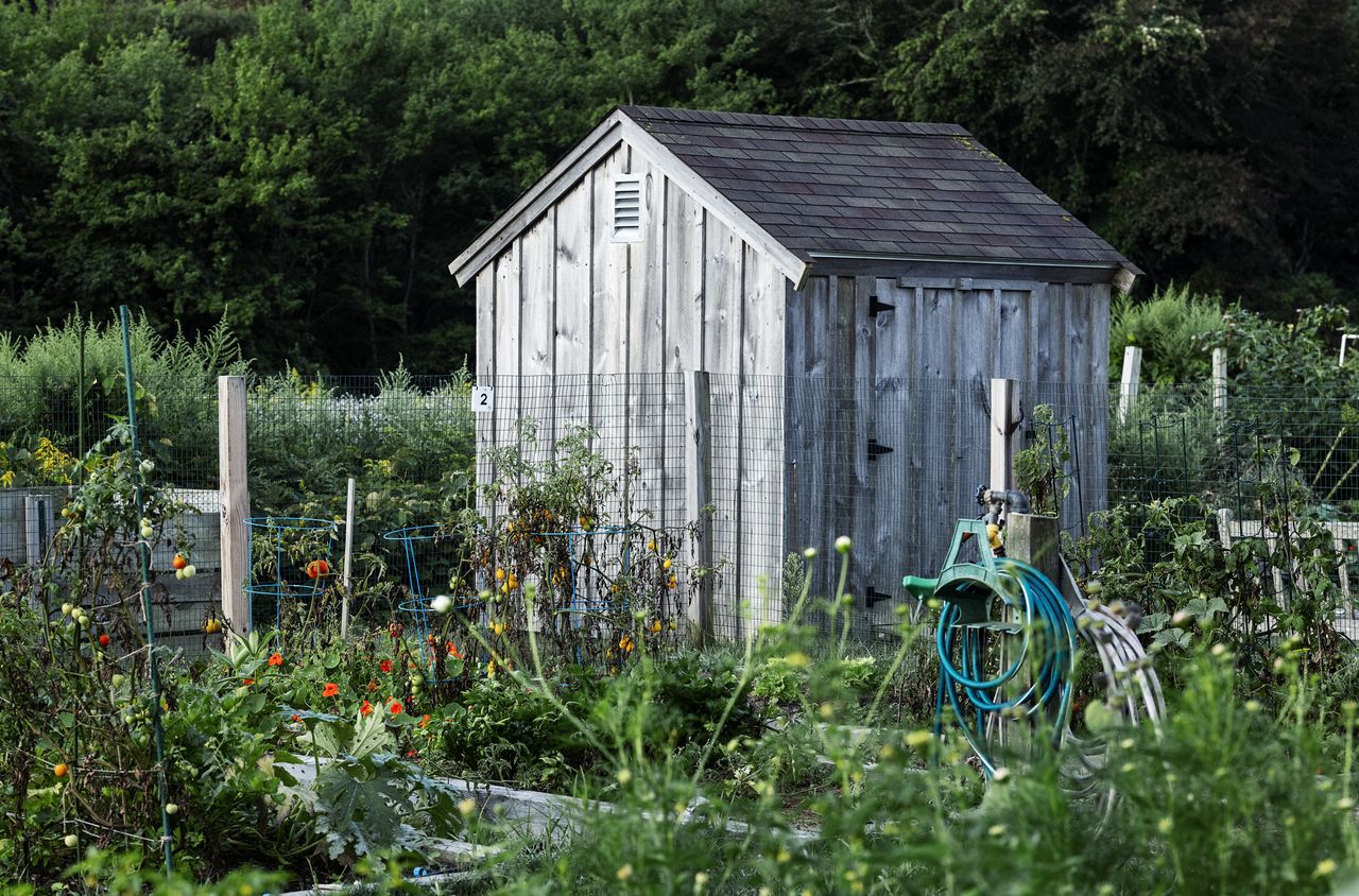Postawisz ją w ogrodzie. Narażasz się na potężną karę finansową