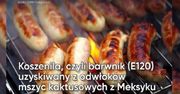 Co zamiast mięsa możesz znaleźć w kiełbasie grillowej? (WIDEO)