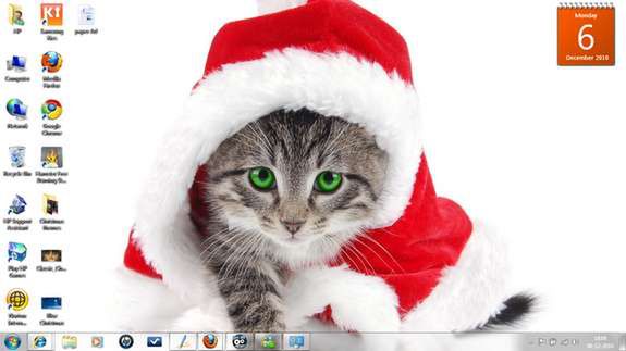 Santa is a Cat (Fot. NirmalTV.com)