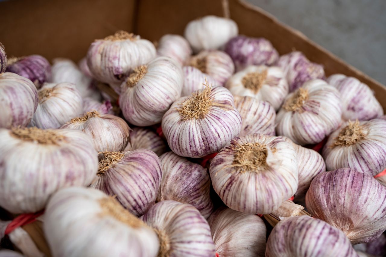 Garlic holds a wealth of flavor and nutritional value.