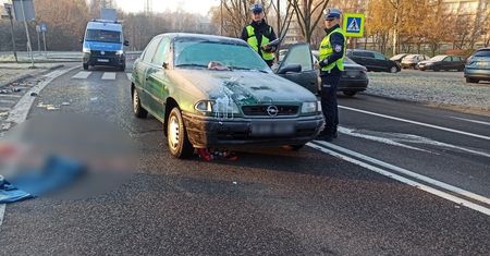 Tragedia na pasach. Kierowca nic nie widział?