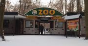Incydenty w ZOO. Pracownicy mogli ucierpieć. Policja bada sprawę