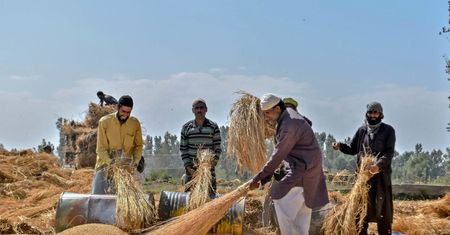 Bitwa o ryż. Wielki spór dyplomatyczny Indii i Pakistanu