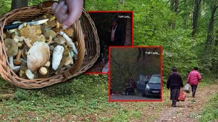 Rumuni przeczesują polskie lasy. Zbierają grzyby na eksport